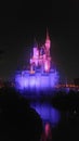 disney castle