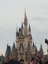 Disney castle tokyo adi