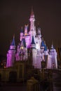 Disney Castle Walt Disney World - Orlando/FL