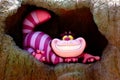 Disney Cheshire Cat Grinning Royalty Free Stock Photo