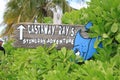 Disney Cruise Characters Stingray Adventure Castaway Ray`s Sign