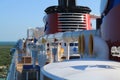 Disney Cruise Ship Funnel and Mickey Logo Aqua Duck