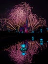 Disney Halloween Special Fireworks Display