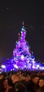 Disney lights night people rides fun family happy France