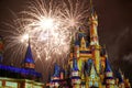 Disney magic castle in fireworks light