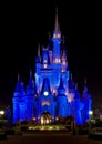 Disney's Cinderella Castle