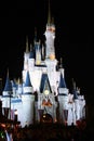 Disney's Magic Castle Florida at Night