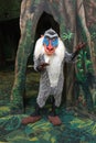 Disney World Animal Kingdom Rafiki Character