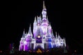 Disney World Castle at Christmas Royalty Free Stock Photo