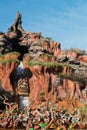 Disney World Splash Mountain Roller Coaster