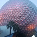 Epcot