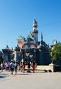 Disneyland castle, California Portrait