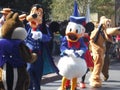 Disneyland diamond 60