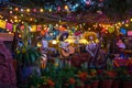 Disneyland Frontierland Day of Dead Skeleton Musicians