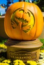 Disneyland Halloween Pumpkin