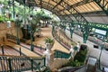 Disneyland Resort Line Station, Hong Kong