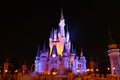 Disneyworld Magic Kingdom Castle