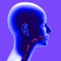 Disorders of swallowing, dysphagia. Head side view. The path of food, the act of swallowing.