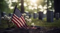 American flags at sunset on cemetery set up. Happy Veterans Day, Memorial Day, Independence Day Royalty Free Stock Photo