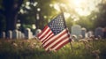 American flags at sunset on cemetery set up. Happy Veterans Day, Memorial Day, Independence Day Royalty Free Stock Photo
