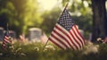 American flags at sunset on cemetery set up. Happy Veterans Day, Memorial Day, Independence Day Royalty Free Stock Photo