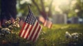 American flags at sunset on cemetery set up. Happy Veterans Day, Memorial Day, Independence Day Royalty Free Stock Photo