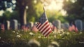 American flags at sunset on cemetery set up. Happy Veterans Day, Memorial Day, Independence Day Royalty Free Stock Photo