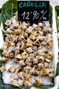 Display of edible sea snails at a market Barcelona Royalty Free Stock Photo