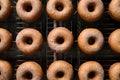 display of Bombolone doughnuts in foodgraphy photography