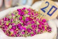 Sack of fresh red clover herbs in at the market. Tea.