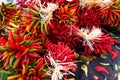 Chile Ristras at the Farmers Market Royalty Free Stock Photo