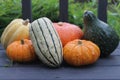 Assorted fall gourds displayed on rustic wood deck with foliage behind
