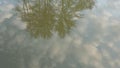 Display of crowns of trees in water against the background of a clear sky.