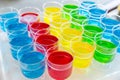 Colorful Jello Cups