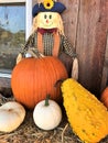 Display of Fall pumpkins and scarecrow decoration Royalty Free Stock Photo