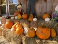 Display of Fall pumpkins and scarecrow decoration