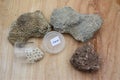 A Display of Fossilized Coral