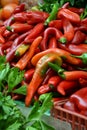 Display of fresh chilli peppers, sweet peppers and greens