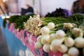 Display of fresh green and white onions and garlic. Fruits and vegetables at a farmers summer market. Royalty Free Stock Photo
