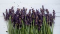 Display Fresh lavender flowers on white background, banner copy space Royalty Free Stock Photo