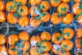 Fresh orange cherry tomatoes Royalty Free Stock Photo