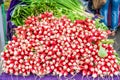 Display of delicious looking fresh raw red radishes for sale at local farmer`s market Royalty Free Stock Photo