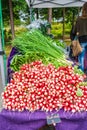 Display of delicious looking fresh raw red radishes for sale at local farmer`s market Royalty Free Stock Photo