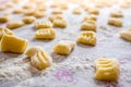 Display of fresh traditional  homemade italian gnocchi pasta on table cloth with flour with soft natural light Royalty Free Stock Photo