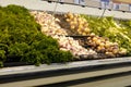 Display fresh vegetable on rack for sale inside superstore