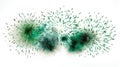 display green fireworks white background