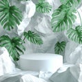 A display of green leaves and stone slabs, a white podium and platforms, and a 3D rendering are shown. Royalty Free Stock Photo