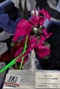 Display of HG Mobile Suit Gundam : The Witch of Mercury Dilanza 1/144 Scale, Color-Coded Plastic Model