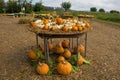 Display at Italian Pumpkin Farm Royalty Free Stock Photo