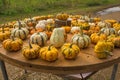 Display at Italian Pumpkin Farm Royalty Free Stock Photo